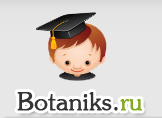 Логотип компании Botaniks