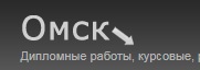 Логотип компании Омск диплом